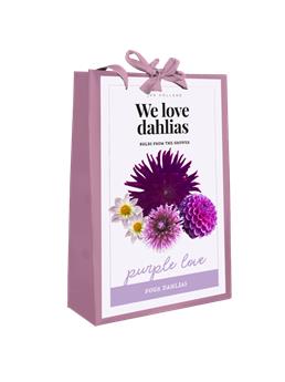 Dahlia Purple Love MIX * 4 Pc / shopping bag
