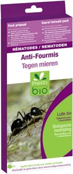 Nematodes anti fourmis Presto Bio