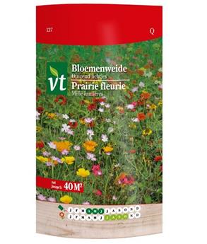 Prairie Fleurie Mille Couleurs 80 gr (VT)