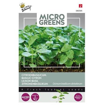 Buzzy® Microgreens, Légume japonais Tatsoi