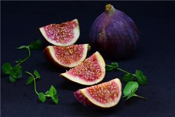 Ficus carica Rouge de Bordeaux Buisson Pot C20 ** Unifère **